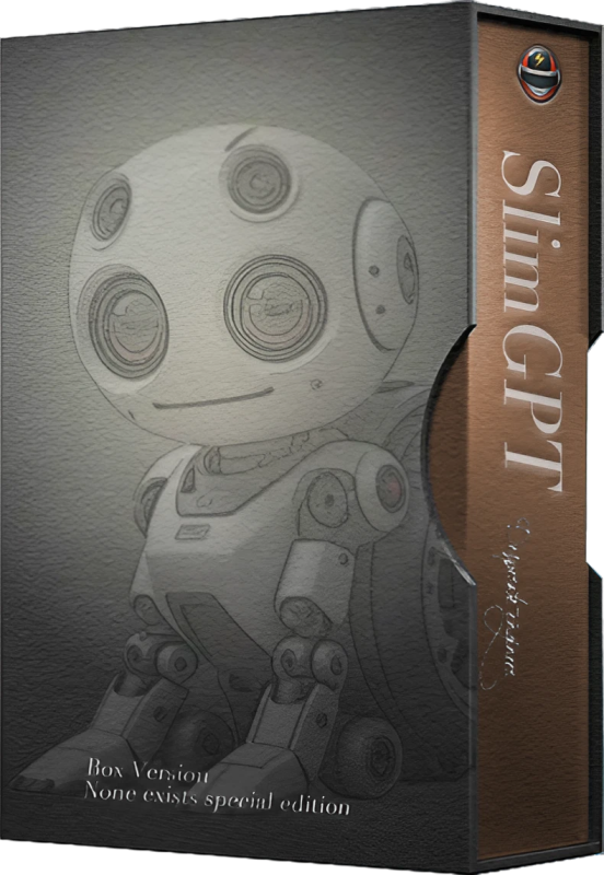 SlimGPT/Applied Artificial Intelligence
